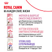 Сухой корм Royal Canin Kitten для котят до 12 месяцев 1.2 кг
